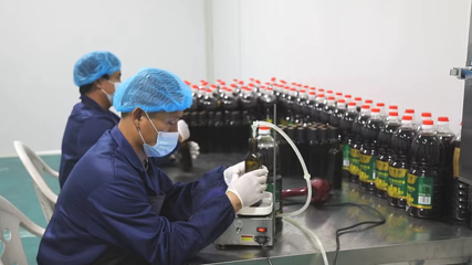 黄龙奏响春耕“变奏曲” 特色农副产品的绿色发展与乡村振兴新篇章