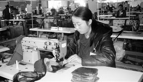 数字化赋能农副产品流通 从田间到餐桌的智慧转型