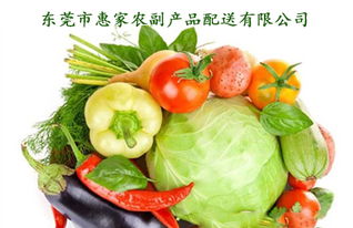 深圳宝安石岩果蔬配送 专业农副产品，直达餐桌的新鲜与安心