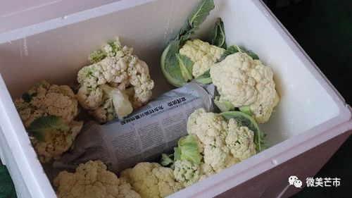 情深山海 芒市270余吨农副产品驰援青浦