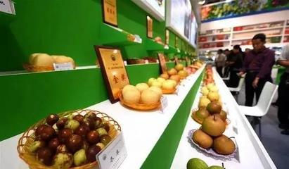 祁阳首届油菜花节暨农副产品交易会邀您共赏春光，乐享田园盛宴