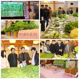 强丰生态农庄春季农副产品推介会圆满举行