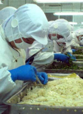 山东农副产品出口大幅增长，优质特色产品走俏国际市场