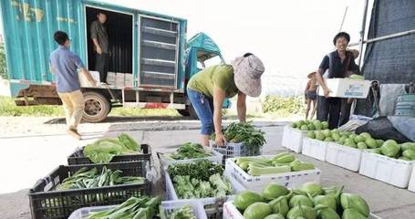 农副产品物流的特点