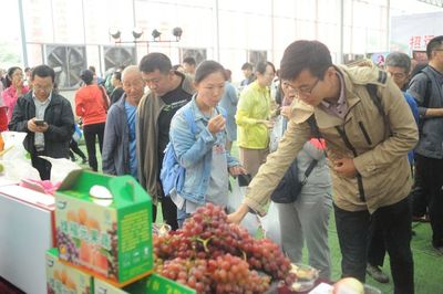 再见2018，与你同行的农副产品时光